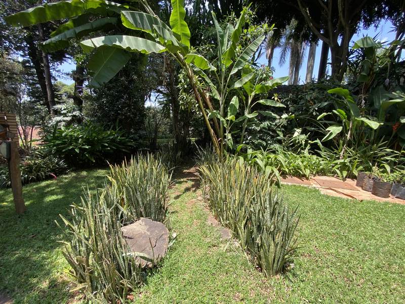 Manor on Lower Kabete - Garden Trees